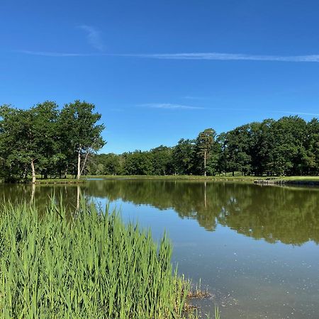 Domaine Du Roncemay - Hotel, Restaurants, Spa & Golf Aillant-sur-Tholon Exterior photo
